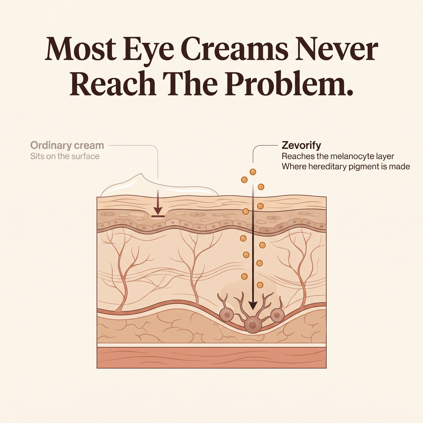 Zevorify Eye Repair Stick Google