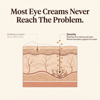 Zevorify Eye Repair Stick Google